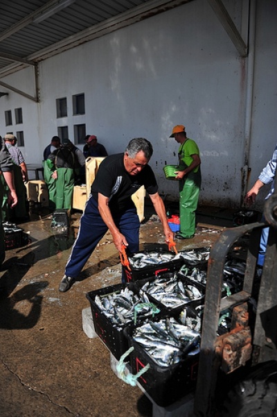 O Porto de Pesca de Tavira é uma obra que se arrasta à mais de 15 anos e tem servido de promessa recorrente em campanhas eleitorais